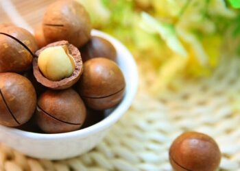 6 exotic nuts and their benefits
                              
                              Published by Livemint | 26 Feb 2025