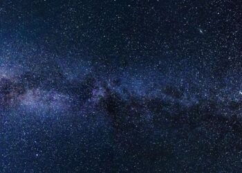 Top 5 NASA-inspired books for space lovers
                              
                              Published by Livemint | 25 Feb 2025