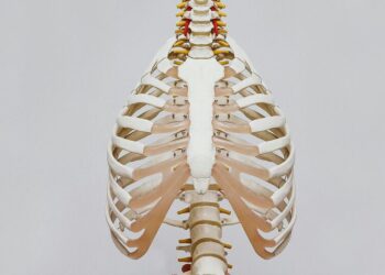 Want healthy bones? Try these 5 natural remedies
                              
                              Published by Livemint | 31 Jan 2025