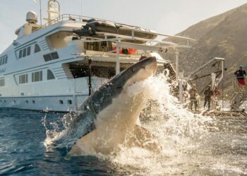 5 best destinations for adventure lovers in 2025
                              
                              Published by Livemint | 03 Feb 2025