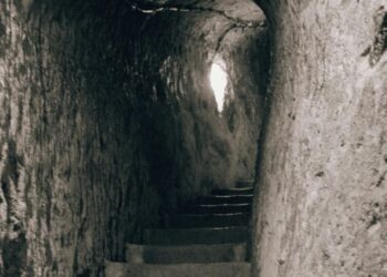 5 most mysterious places on Earth that science can …
                              
                              Published by Livemint | 11 Feb 2025