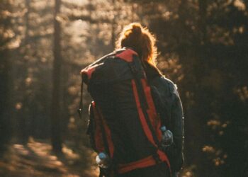 5 best solo travel destinations for first-timers
                              
                              Published by Livemint | 21 Feb 2025