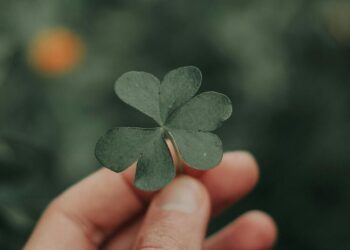 6 plants that bring good luck & prosperity
                              
                              Published by Livemint | 25 Feb 2025