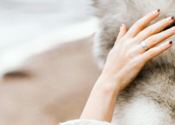 5 best exotic pets you can legally own
                              
                              Published by Livemint | 21 Feb 2025