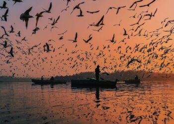 5 best birdwatching spots around the world
                              
                              Published by Livemint | 02 Feb 2025