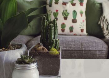 5 Decor and Ambiance trends of 2025 for your home
                              
                              Published by Livemint | 23 Feb 2025