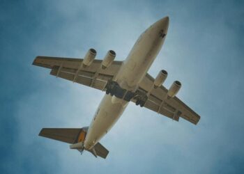 5 Carry-on Rules Every Traveler Should Know
                              
                              Published by Livemint | 09 Feb 2025