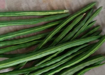 6 traditional Indian superfoods and their benefits
                              
                              Published by Livemint | 03 Feb 2025