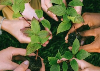 6 countries leading in sustainability
                              
                              Published by Livemint | 22 Feb 2025