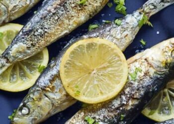 5 health benefits of canned sardines
                              
                              Published by Livemint | 21 Mar 2025