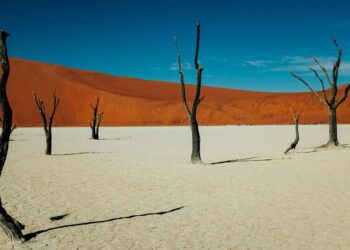 5 most surreal desert destinations on Earth
                              
                              Published by Livemint | 26 Mar 2025