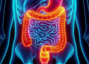 6 gut-healthy superstars you need for better diges …
                              
                              Published by Livemint | 17 Mar 2025