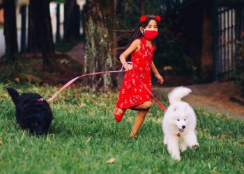 6 best dog breeds for families with kids
                              
                              Published by Livemint | 29 Mar 2025