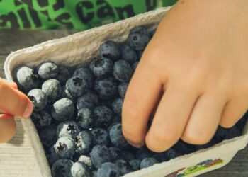 5 brain-boosting superfoods for kids
                              
                              Published by Livemint | 02 Mar 2025