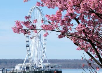 5 travel destinations that combine relaxation and  …
                              
                              Published by Livemint | 26 Mar 2025