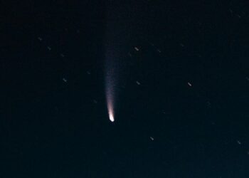 5 NASA's Asteroid Defense Initiatives to protect E …
                              
                              Published by Livemint | 02 Mar 2025