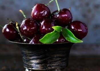 5 trees that grow the rarest and most expensive fr …
                              
                              Published by Livemint | 22 Mar 2025