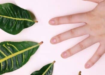 7 Ancient Beauty Secrets Still Used Today
                              
                              Published by Livemint | 09 Mar 2025