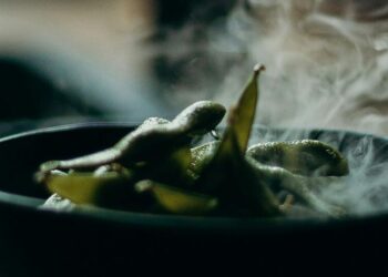 5 easy-to-grow edible plants for your home garden
                              
                              Published by Livemint | 03 Mar 2025