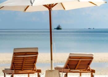 6 travel destinations focused on water-based exper …
                              
                              Published by Livemint | 22 Mar 2025