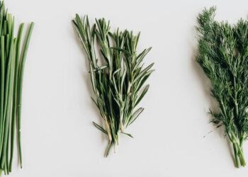 6 medicinal herbs making a powerful comeback in 20 …
                              
                              Published by Livemint | 25 Mar 2025