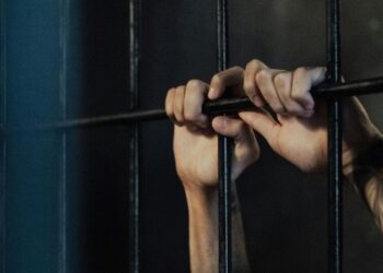 Top 5 must-watch documentaries on Netflix for true …
                              
                              Published by Livemint | 19 Mar 2025