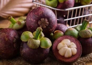 6 benefits of kokum that instantly cool your body!
                              
                              Published by Livemint | 06 Apr 2025